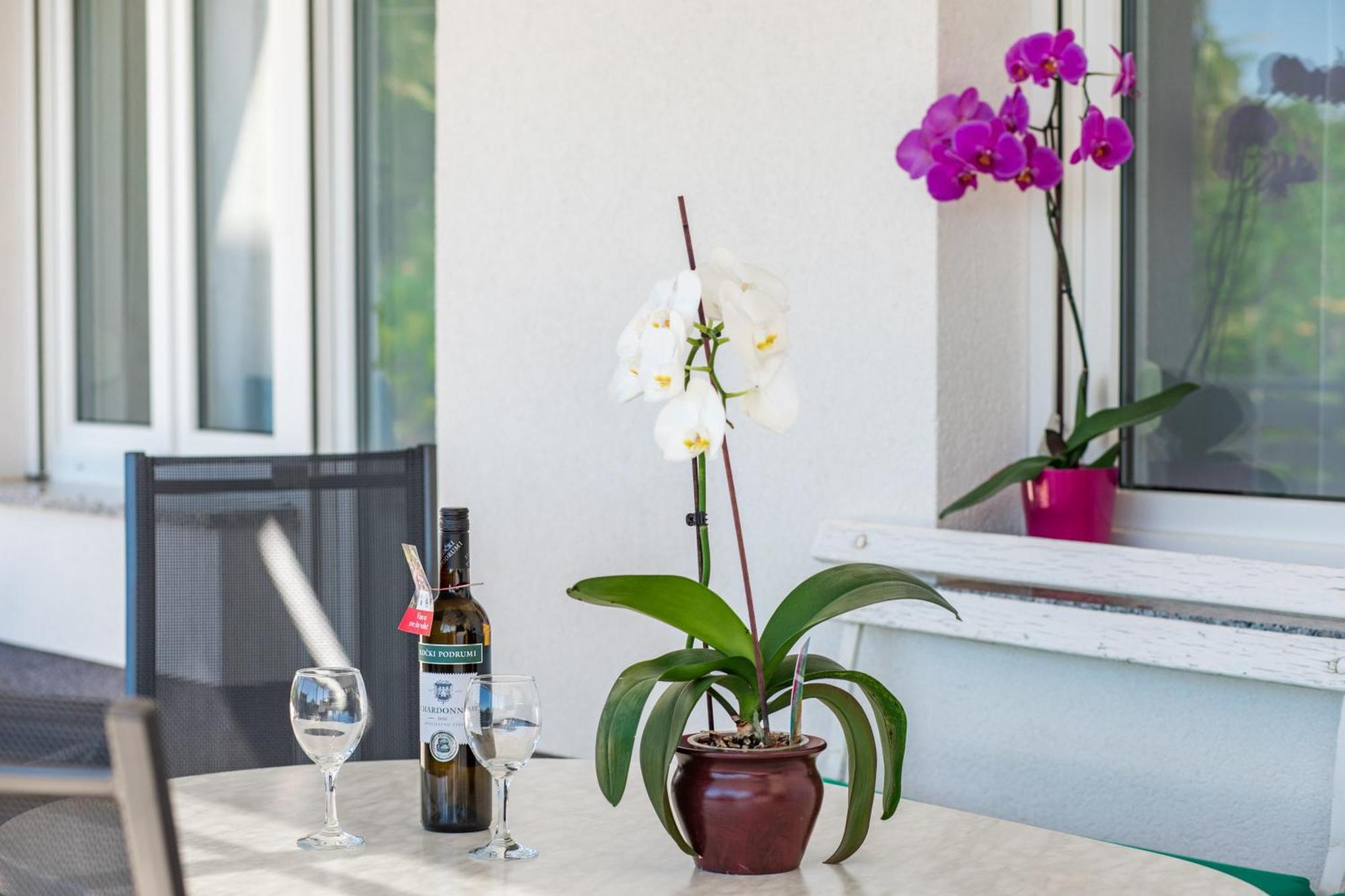 Apartmani Katica 포빌레 외부 사진